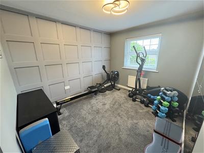 Picture 17